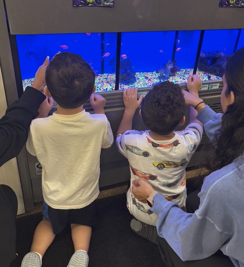 Children and an educator at the aquarium during a community outing